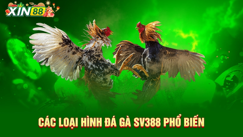 Các loại hình đá gà SV388