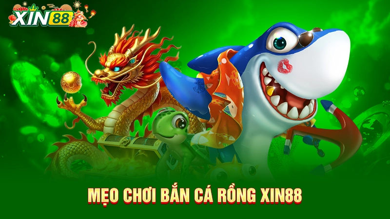 Bắn cá rồng - Tựa game bắn cá hấp dẫn hàng đầu Xin88 3 Mẹo chơi bắn cá rồng Xin88