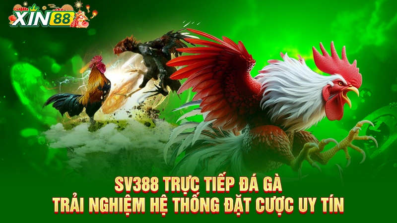 SV388 trực tiếp đá gà