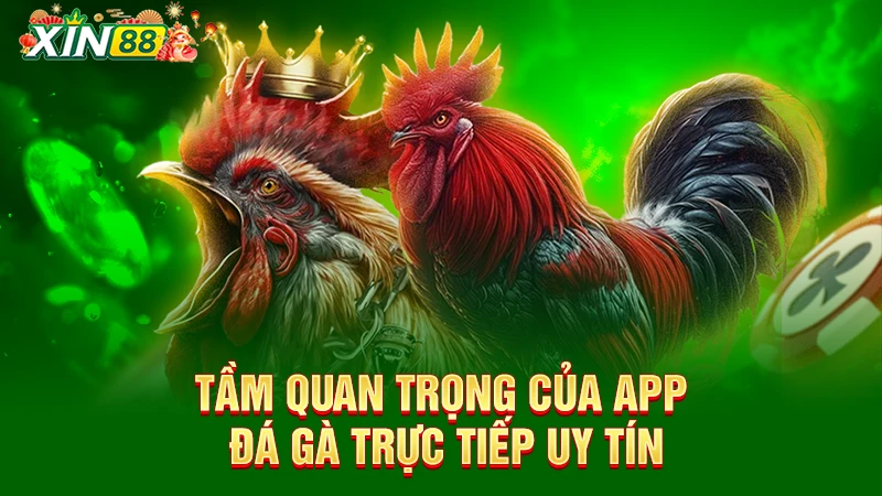 App đá gà trực tiếp livestream chất lượng cao, cá cược tiện lợi 1 Tầm quan trọng của app đá gà trực tuyến