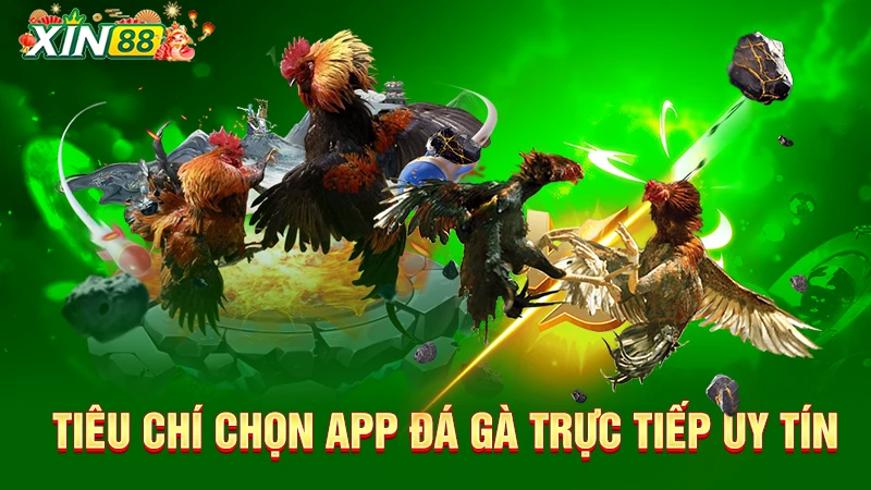 App đá gà trực tiếp livestream chất lượng cao, cá cược tiện lợi 2 Tiêu chí lựa chọn app đá gà trực tiếp