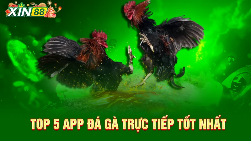 App đá gà trực tiếp livestream chất lượng cao, cá cược tiện lợi 3 Top 5 ứng dụng đá gà trực tiếp tốt nhất