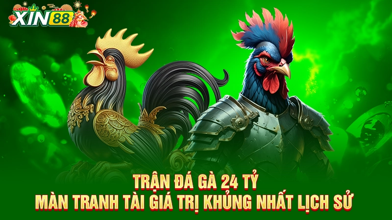 Trận đá gà 24 tỷ