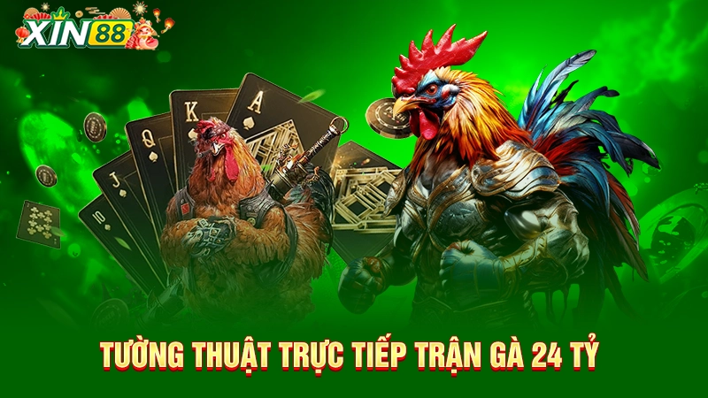 Tường thuật trực tiếp trận gà 24 tỷ