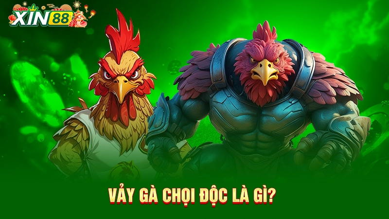 Vảy gà độc - Báu vật của chiến kê