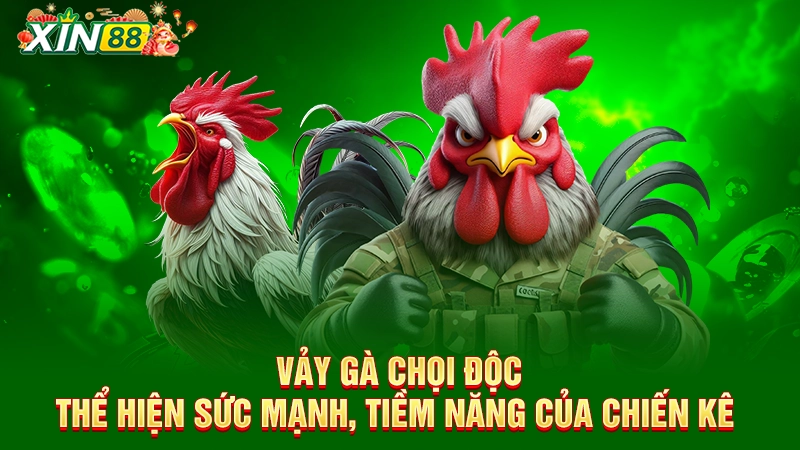 Vảy gà chọi độc