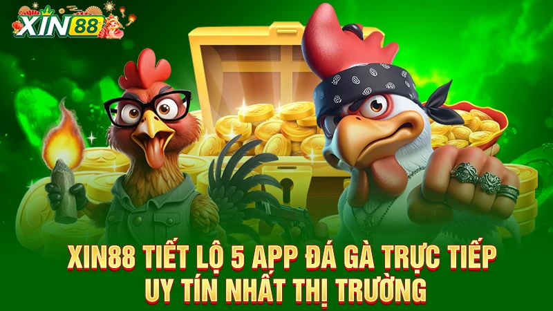 App đá gà trực tiếp